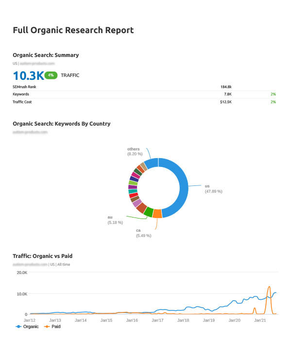 organic search traffic summary report